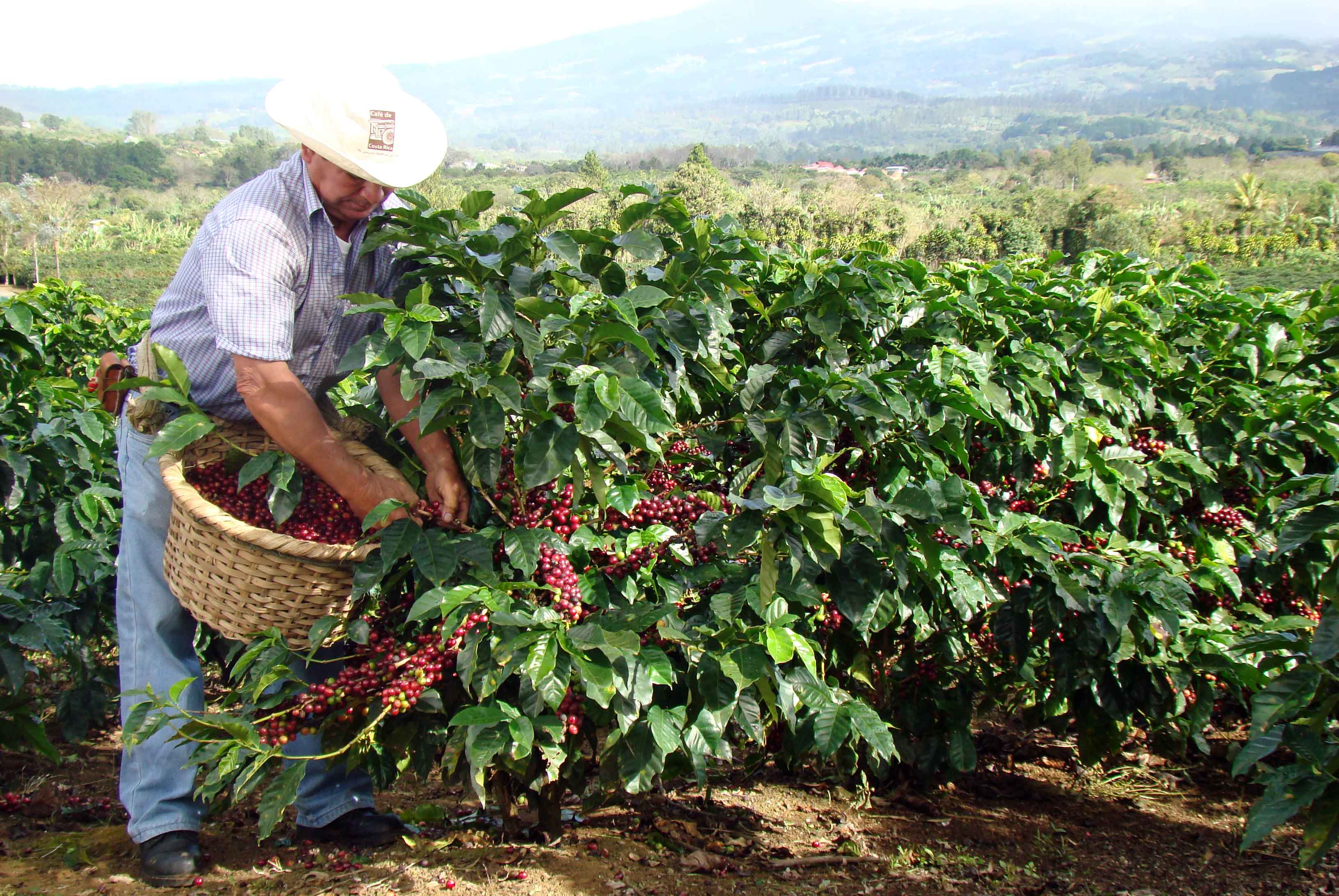 10 Facts About Colombia OUTLOOK 10 facts about colombia outlook
